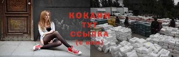 молекула духа Аркадак