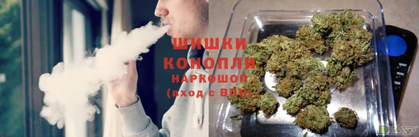 молекула духа Аркадак