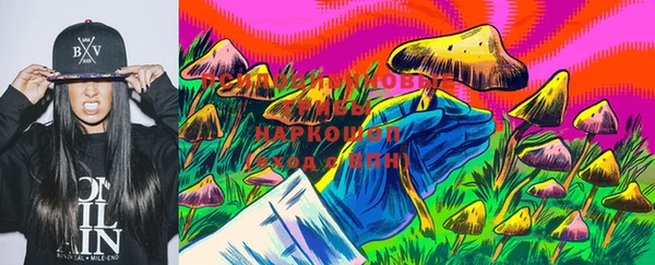 дмт Арсеньев