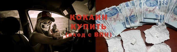дмт Арсеньев