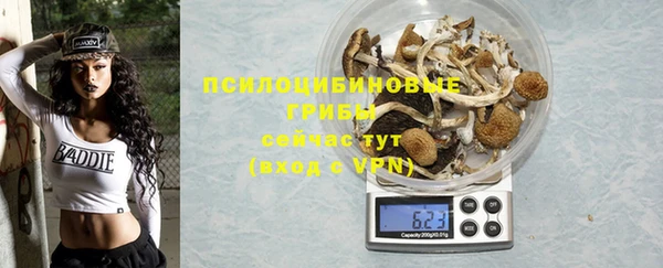 дмт Арсеньев
