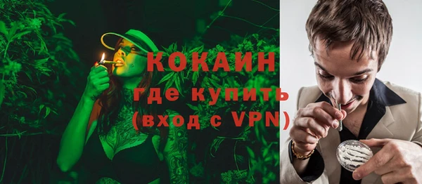 дмт Арсеньев